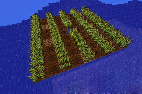 牧场模拟器小麦怎么种？我的世界小麦种子怎么种